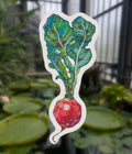 Radish Sticker