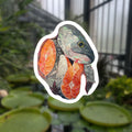 Fish sticker